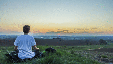 Top Meditation & Wellness Apps